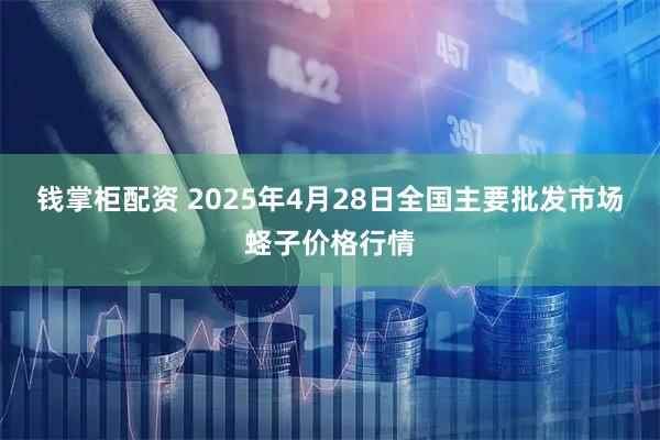 钱掌柜配资 2025年4月28日全国主要批发市场蛏子价格行情